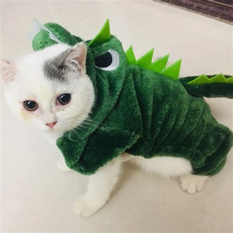 cat in a dragon costume|cat dragon costume aliexpress.